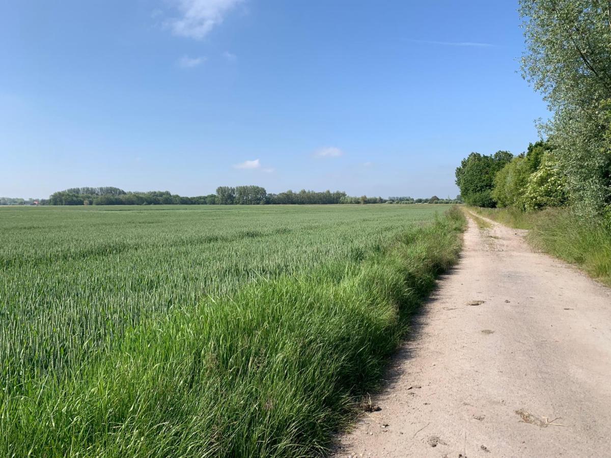 De Scheure, Charmant Vakantiehuisje Midden In De Natuur Alveringem Eksteriør bilde